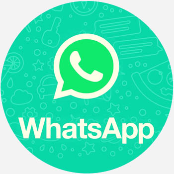 WhatsApp：日常沟通的变革者——开启高效沟通新时代的利器